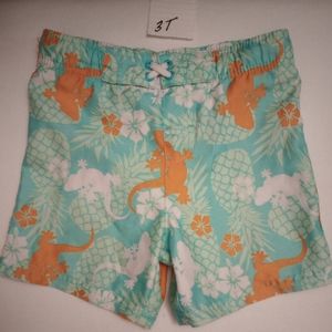 Swimming shorts